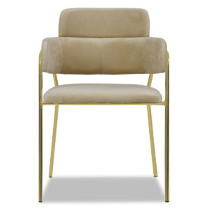 Emmiel Velvet Dining Chair with Gold Legs